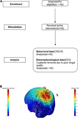 Multidimensional Assessment of Electroencephalography in the Neuromodulation of Disorders of Consciousness